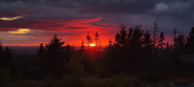 Mark Boyce Photo2