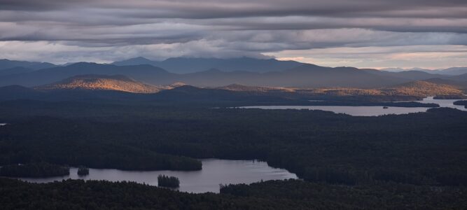 Mark Boyce Photo4
